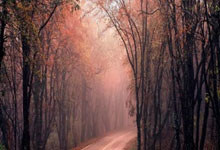 巴黎圣日耳曼-逆转里尔，保持领先优势