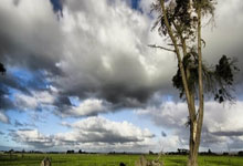 肯尼亚女足连续佳绩，实力渐步显露