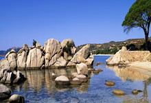 巴黎圣日耳曼横扫拜仁慕尼黑，晋级欧冠半决赛