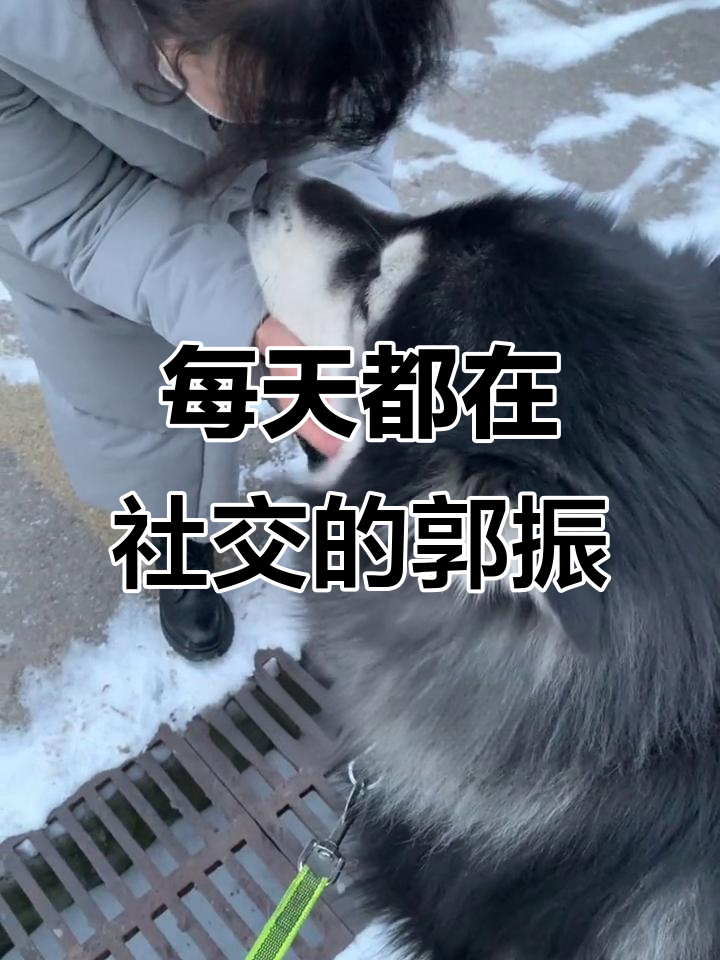 自信满满，不伦瑞克迎战强敌