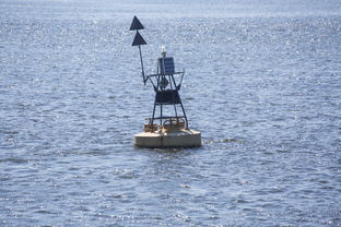 星空体育app体验棒-中方蝶泳入水角度更锐利？图解数据分析，中国蝶泳厉害吗